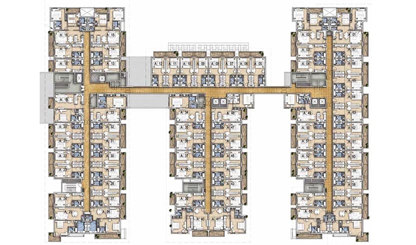 layout