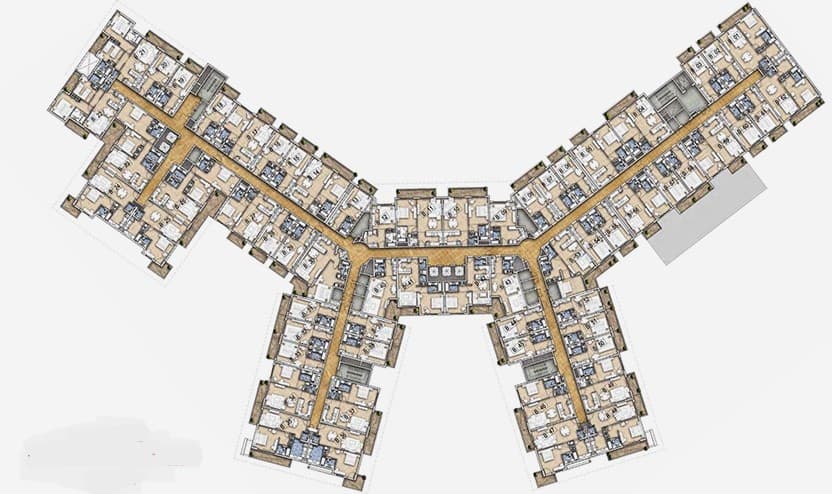 layout