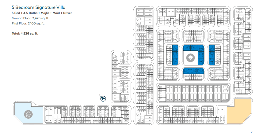 layout